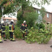 Tak van boom gewaaid Gouderegenstraat Noordwijk